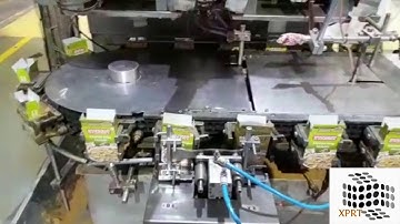 Twin Lane Vertical Cartoner with Check Weigher