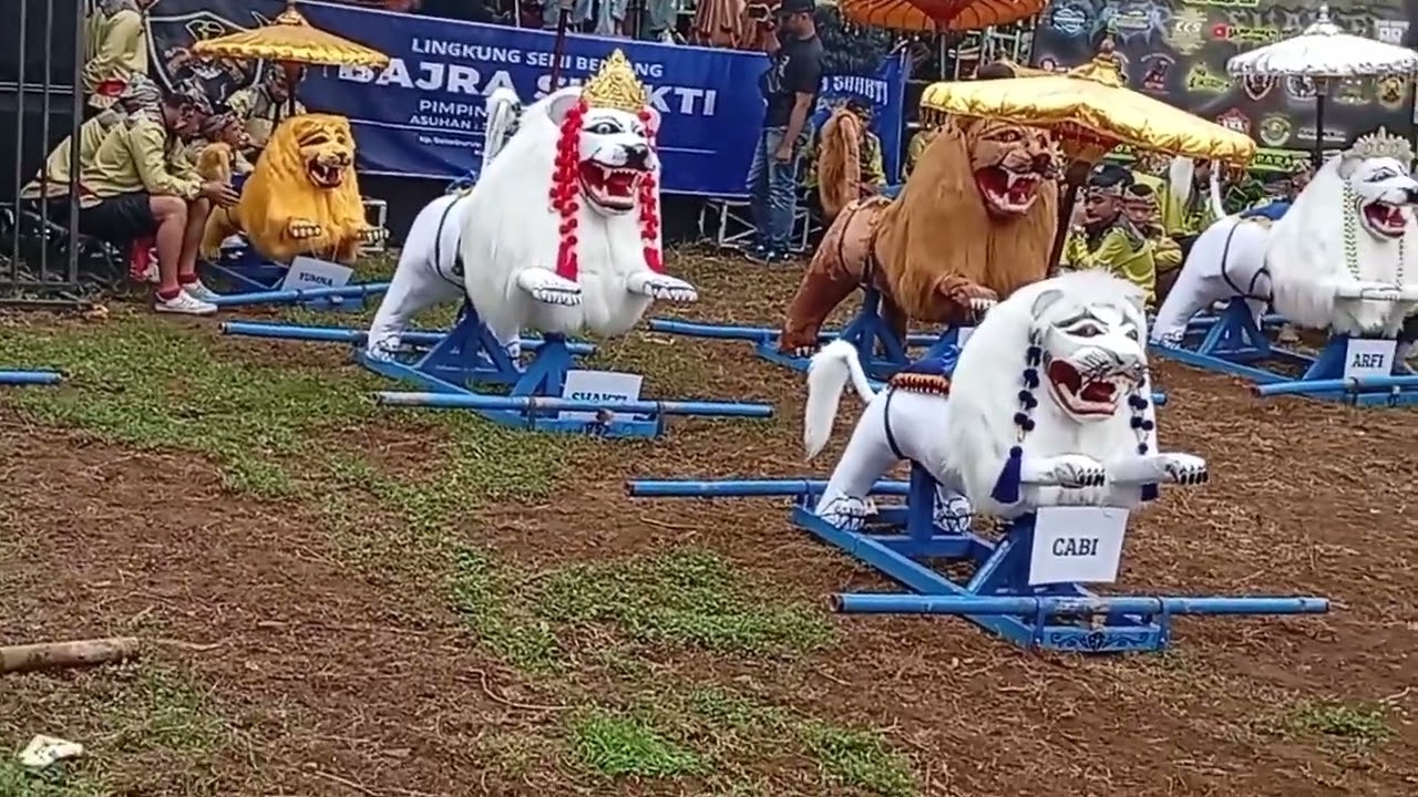 Acara KHITANAN DI SEKEBURUY BARENG BENJANG BAJRA SHAKTI,,, BUBUKA KU KEMBANG GADUNG
