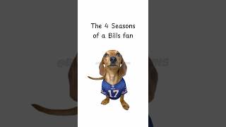 The 4 Seasons of a Bills Fan (Explained by Dog) #Football #NFL #buffalobills