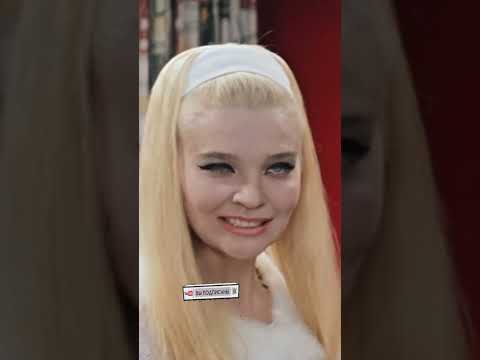Закат и страсти Поэзия Ямайки в каждом мгновении #кино #моменты #shorts