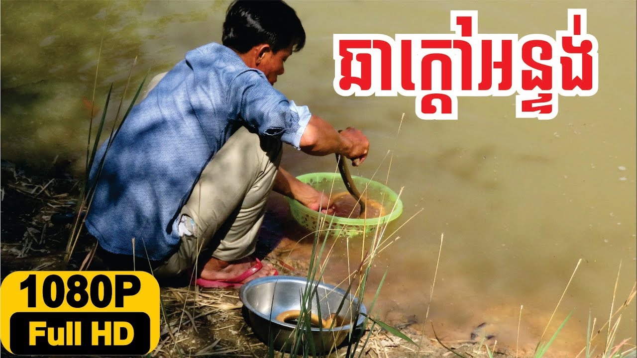 #Cooking ell in my village ឆាក្តៅអន្ទង់ - YouTube