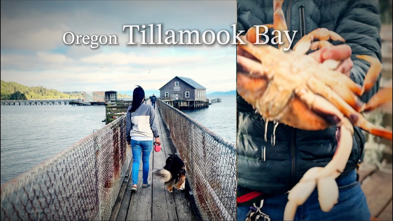RV LIFE | Dungeness Crabbing with My Daughter at Tillamook Bay Pier