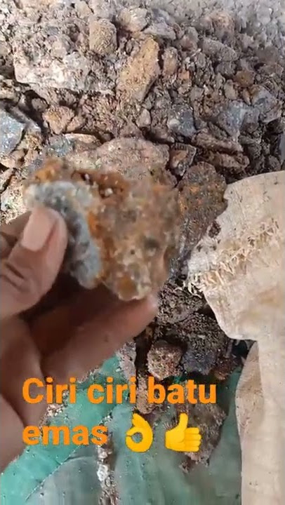 Ciri ciri batu mengandung emas 👌👍