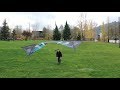 Djinn perspective quad kite drone footage