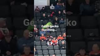 Geico Gecko Spotting  At Ahl Game