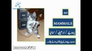 basic scienc dictionary,english to urdu part 18