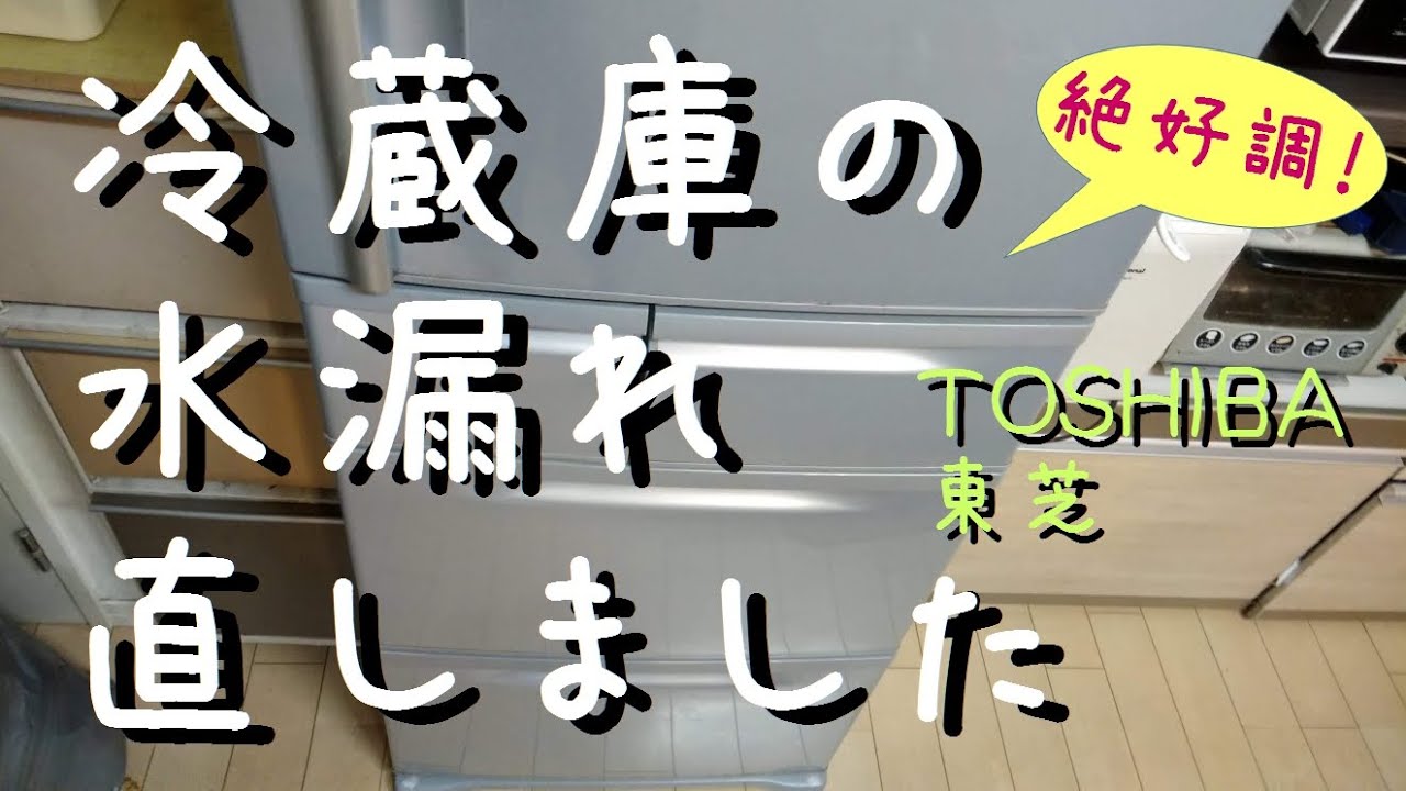 冷蔵庫 ドレン ホース どこ