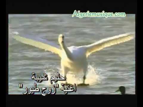 Halim Chiba حليم شيبة 