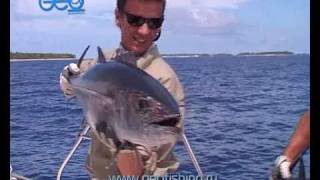 Морская рыбалка на Сейшелах!
