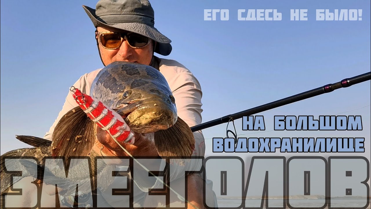 ЗМЕЕГОЛОВ на большом водохранилище. 