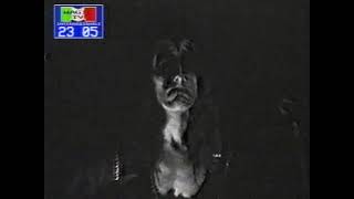 DRESSED TO KISS STRUTTER DEMO FIRST EVER AUDIO RECORDING BY DRESSED TO KISS 1994 FIRST PROMO VIDEO