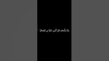 #القرآن_الكريم #الفرقان #الذكر #سورة_البقرة #ياسر_الدوسري #قرآن #القران_الكريم #quran #قران_كريم