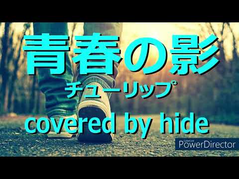 青春の影　チューリップ　covered by hide