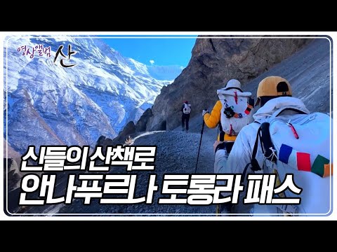 이름만으로도 가슴이 뛰는 곳 히말라야, 육체와 정신의 한계를 넘어 꿈꾸던 그 곳에 다가선다 [영상앨범 산] KBS 231126 방송