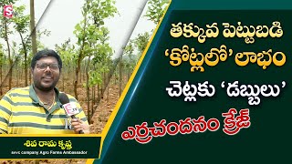 Buy Land At Low Price and Get Red Sandalwood Trees Free | SVVC Agro Farms and Projects | SumanTV