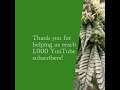 A Thousand Thanks!