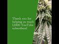 A Thousand Thanks!
