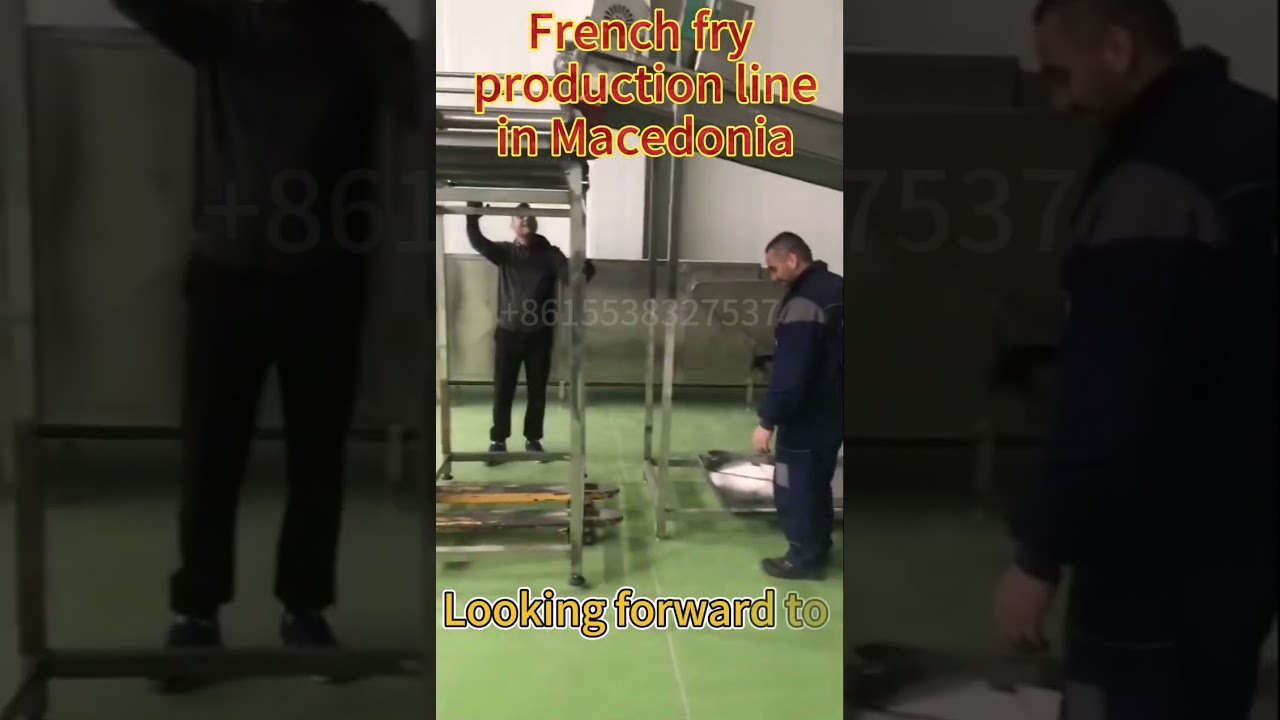 Installation of French fry production line in Macedonia 