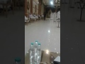 احمد جدامي محافظة المنيا مركز مغاغة عزبة الصعايدة