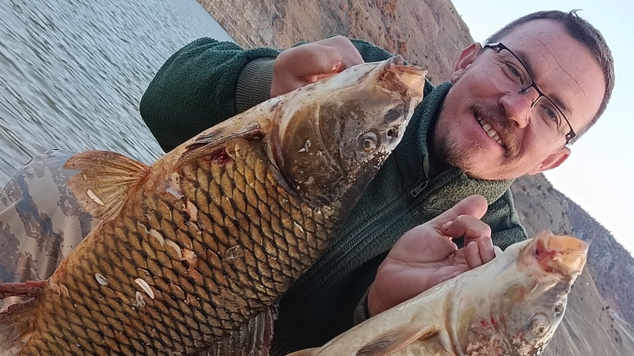 KIŞ MEVSİMİNDE SAZAN AVI HARİKAAA #carpfishing #sazanavı #camping #keşfet 