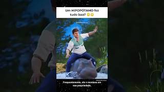 E se um hipopótamo te pegasse? 😰🦛
