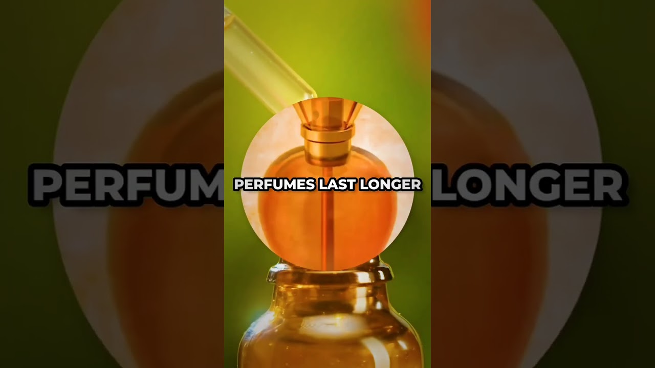 $250,000 Worth of Whale's Vomit 🤢 (EXPLAINED)