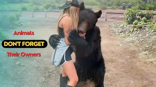 Heartfelt Animal Reunions | Moments of Pure Joy Between Pets and Their Owners!