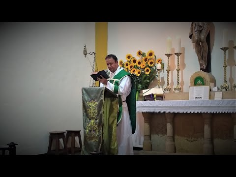 Sermón 2° Domingo después de Epifanía - Padre Bernardo