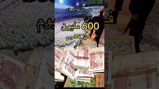 ماشاء الله مشروع تربية الدجاج #تربية_الدجاج #اكسبلور #freerangechickens #طيور