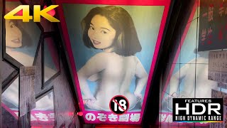 🔞 Let's Explore Tokyo's Most Popular Red Light District: Kabukicho (歌舞伎町) | Hostess Clubs Everywhere