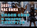 Как не стать закуской на новый год 2021. Старый Новый Год.