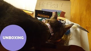 Unboxing: Meowbox - July 2017