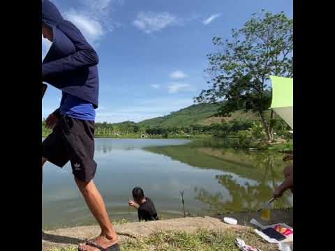 #shorts Cận cảnh trắm đen câu Lk
