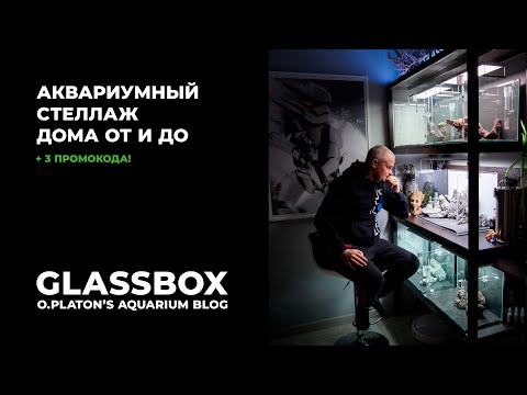 Видео: #Аквариумный #стеллаж дома от и до