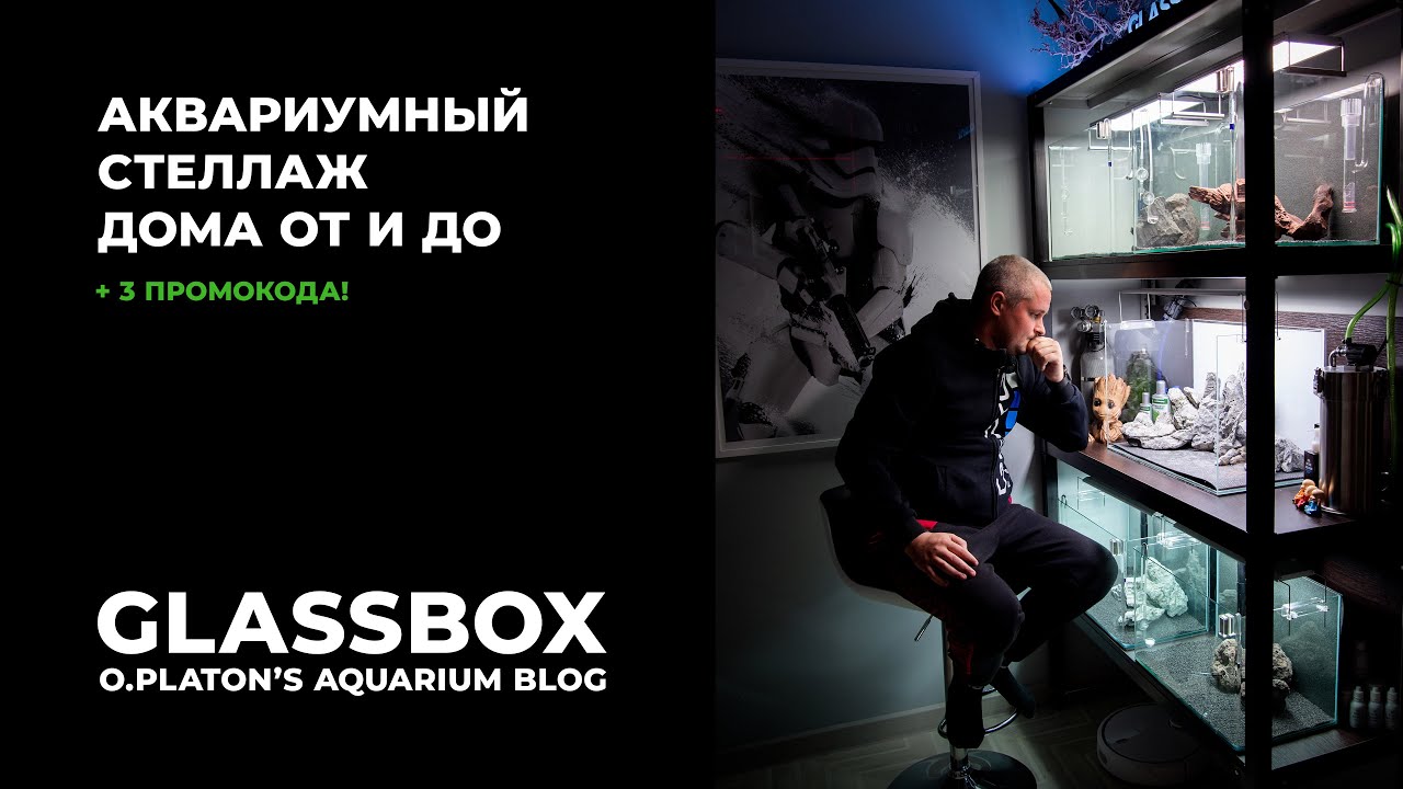 #Аквариумный