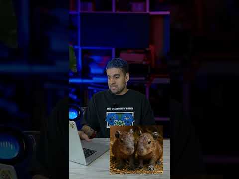 Это не Артемий Лебедев