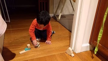 Thank you for my Tegu blocks!
