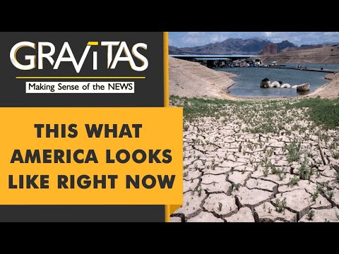 Gravitas: Extreme weather: Farmers destroy their own crops in America