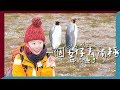 第一次見企鵝本人😍終於都上岸啦!!!一個女仔去南極EP3｜ANTARCTICA VLOG｜RedisPolly