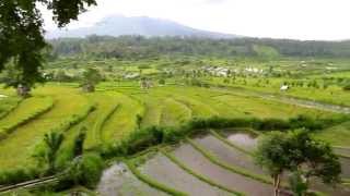 Bali. Candidasa roads (окрестности Кандидасы на Бали)