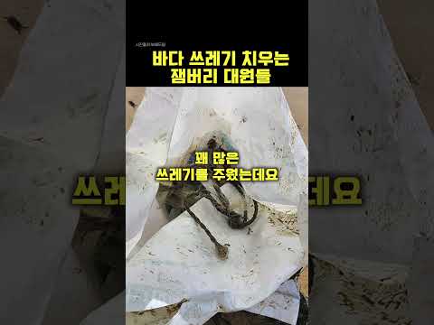 거제도 바다쓰레기 줍고 간 잼버리 대원들...스카우트 정신 빛났다