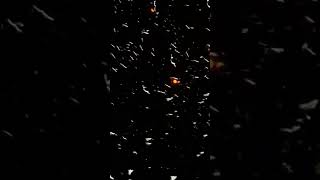 trying to make a space battle using boids in blender #shorts