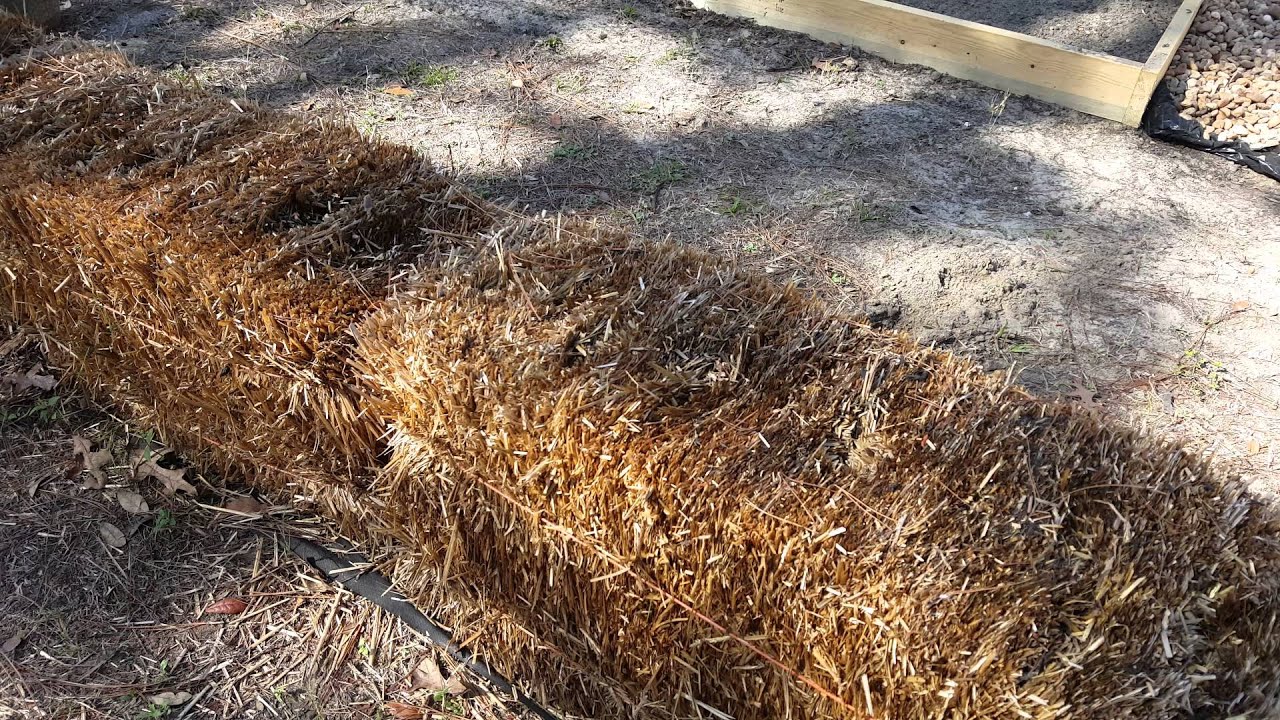 How to Start and Condition a Straw Bale Garden