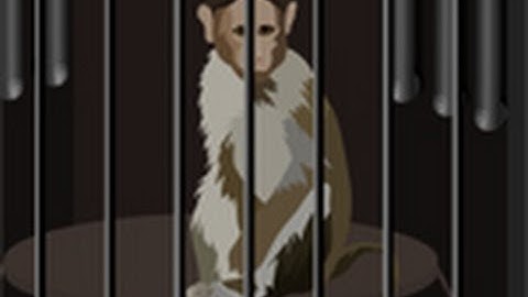 Monkey Lab Escape - Walkthrough