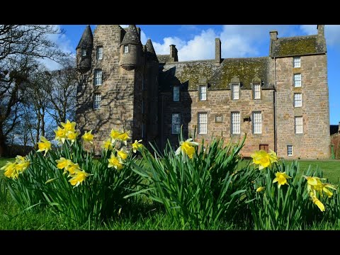 Spring Easter Holiday Weekend Daffodils On History Visit To Kellie Castle East Neuk Of Fife Scotland