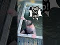 The boss said he'd pay if we jumped into the water, but there's something fishy about it. #funny