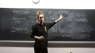BI207 - Lab 2 - Diffusion & Osmosis