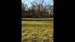 Tannerite explosion with AR15