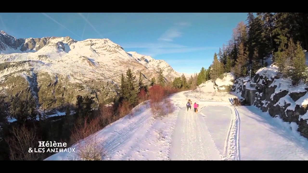 Christophe et ses chiens de traineau à Mont-Cenis