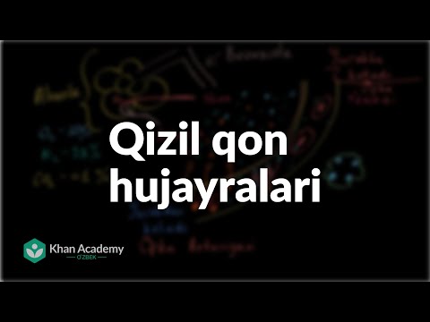 Video: Sibir Do'lana Yoki Qon Qizil
